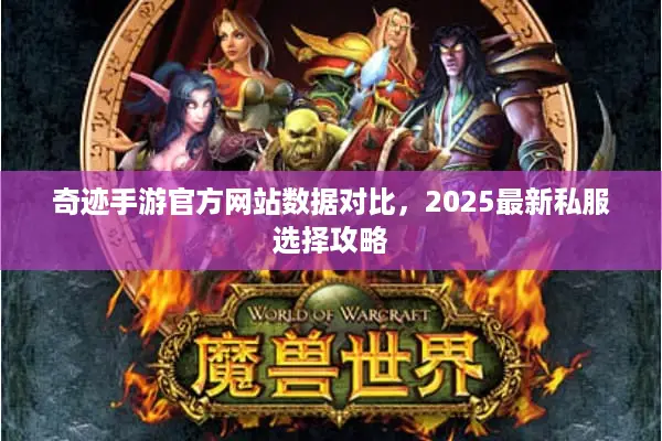 奇迹手游官方网站数据对比，2025最新私服选择攻略