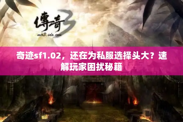 奇迹sf1.02，还在为私服选择头大？速解玩家困扰秘籍