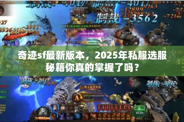 奇迹sf最新版本，2025年私服选服秘籍你真的掌握了吗？