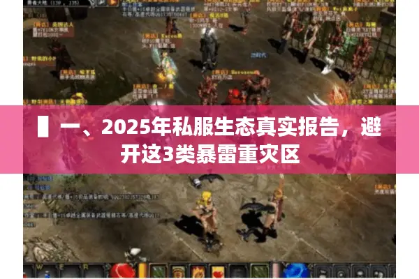 ▌一、2025年私服生态真实报告，避开这3类暴雷重灾区