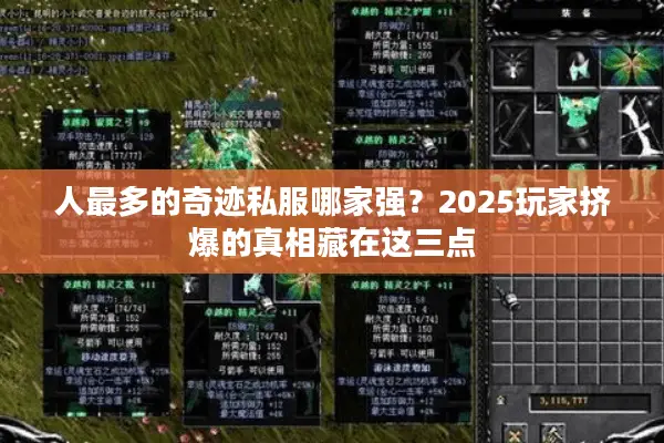 人最多的奇迹私服哪家强？2025玩家挤爆的真相藏在这三点