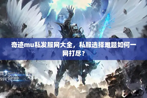 奇迹mu私发服网大全，私服选择难题如何一网打尽？