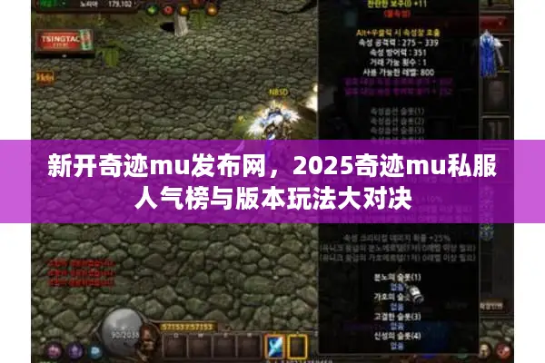 新开奇迹mu发布网，2025奇迹mu私服人气榜与版本玩法大对决