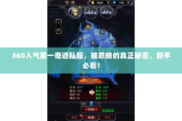 360人气第一奇迹私服，被忽略的真正秘密，新手必看！