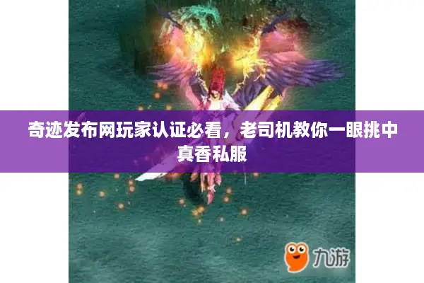 奇迹发布网玩家认证必看，老司机教你一眼挑中真香私服