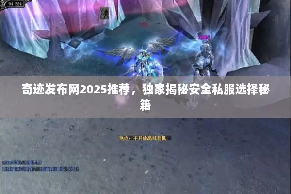 奇迹发布网2025推荐，独家揭秘安全私服选择秘籍