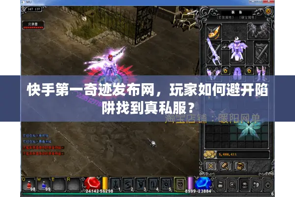 快手第一奇迹发布网，玩家如何避开陷阱找到真私服？