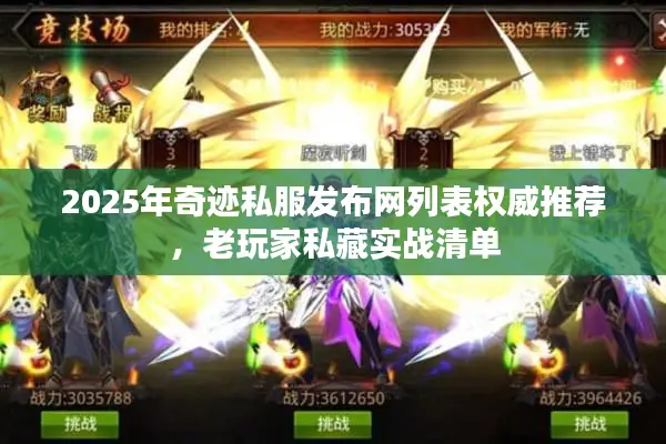 2025年奇迹私服发布网列表权威推荐，老玩家私藏实战清单