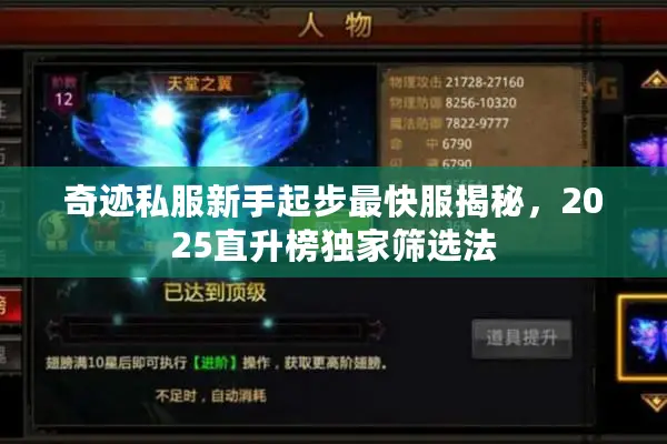 奇迹私服新手起步最快服揭秘，2025直升榜独家筛选法