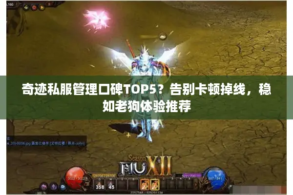 奇迹私服管理口碑TOP5？告别卡顿掉线，稳如老狗体验推荐