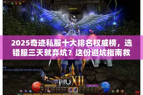 2025奇迹私服十大排名权威榜，选错服三天就弃坑？这份避坑指南救了你