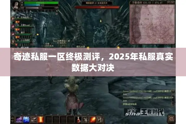 奇迹私服一区终极测评，2025年私服真实数据大对决