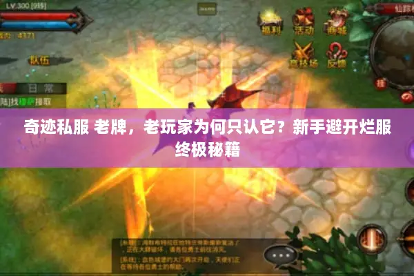 奇迹私服 老牌，老玩家为何只认它？新手避开烂服终极秘籍