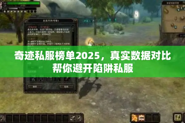 奇迹私服榜单2025，真实数据对比帮你避开陷阱私服