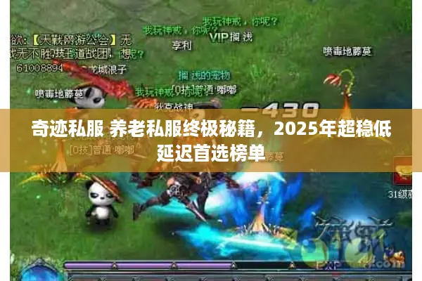 奇迹私服 养老私服终极秘籍，2025年超稳低延迟首选榜单