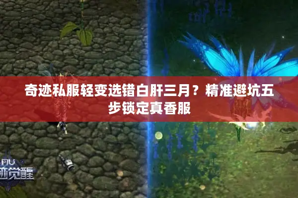 奇迹私服轻变选错白肝三月？精准避坑五步锁定真香服