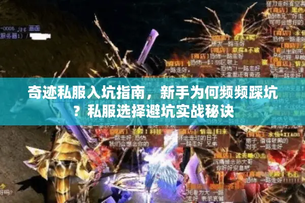 奇迹私服入坑指南，新手为何频频踩坑？私服选择避坑实战秘诀