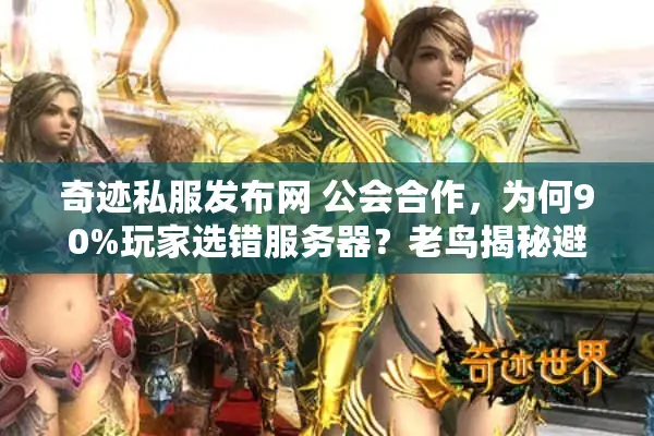奇迹私服发布网 公会合作，为何90%玩家选错服务器？老鸟揭秘避坑秘籍