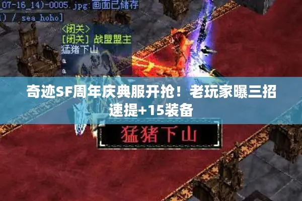 奇迹SF周年庆典服开抢！老玩家曝三招速提+15装备