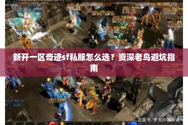 新开一区奇迹sf私服怎么选？资深老鸟避坑指南