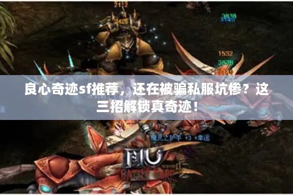 良心奇迹sf推荐，还在被骗私服坑惨？这三招解锁真奇迹！