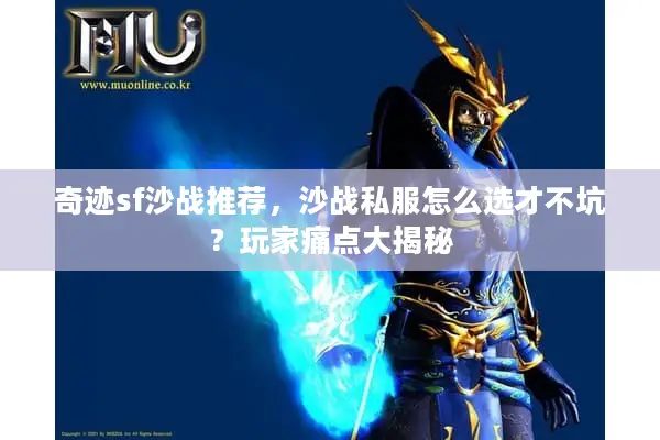 奇迹sf沙战推荐，沙战私服怎么选才不坑？玩家痛点大揭秘
