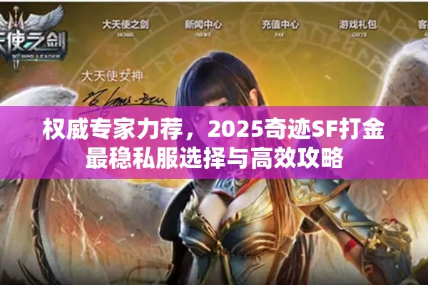 权威专家力荐，2025奇迹SF打金最稳私服选择与高效攻略