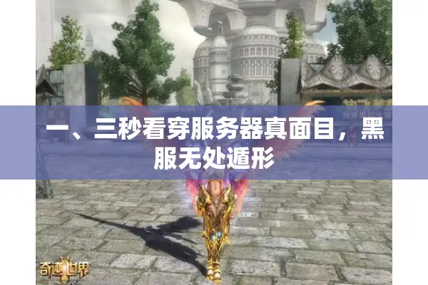 一、三秒看穿服务器真面目，黑服无处遁形