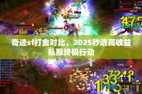 奇迹sf打金对比，2025秒选高收益私服终极行动