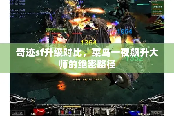 奇迹sf升级对比，菜鸟一夜飙升大师的绝密路径