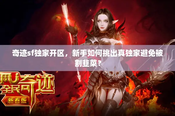 奇迹sf独家开区，新手如何挑出真独家避免被割韭菜？