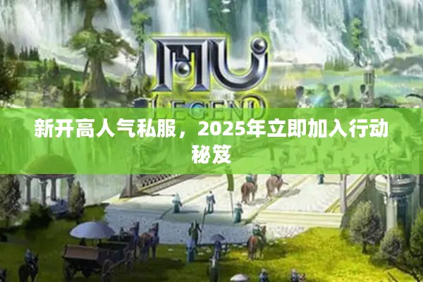 新开高人气私服，2025年立即加入行动秘笈