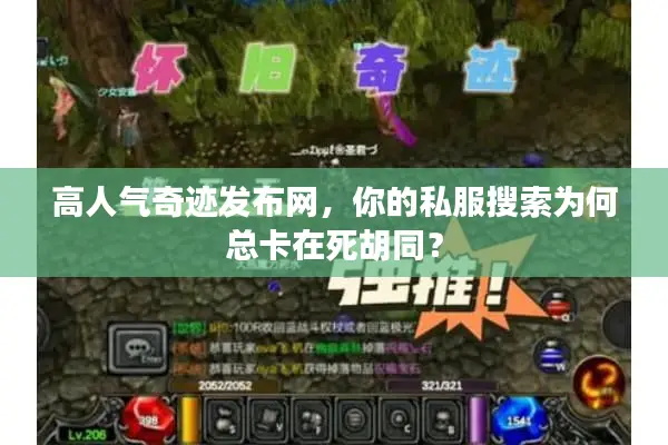 高人气奇迹发布网，你的私服搜索为何总卡在死胡同？
