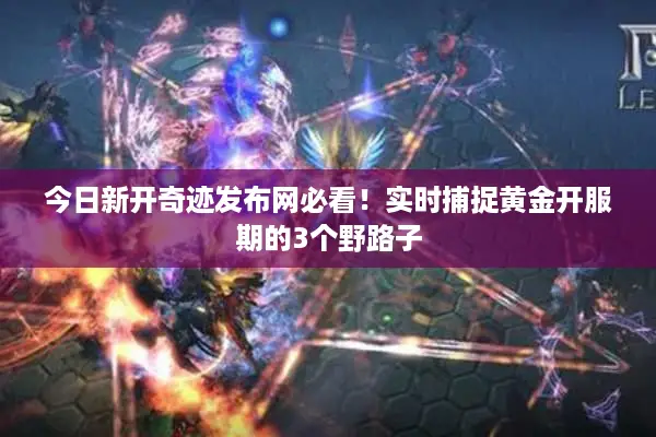 今日新开奇迹发布网必看！实时捕捉黄金开服期的3个野路子