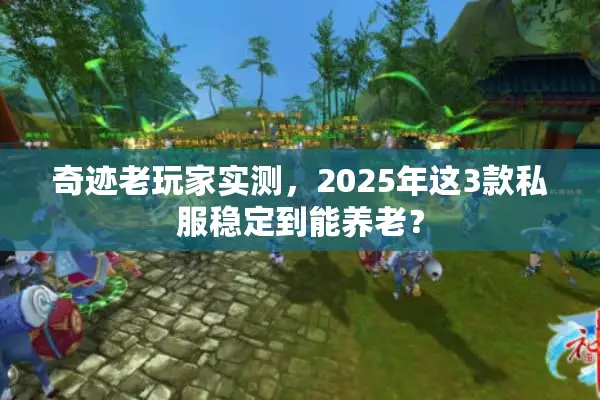 奇迹老玩家实测，2025年这3款私服稳定到能养老？