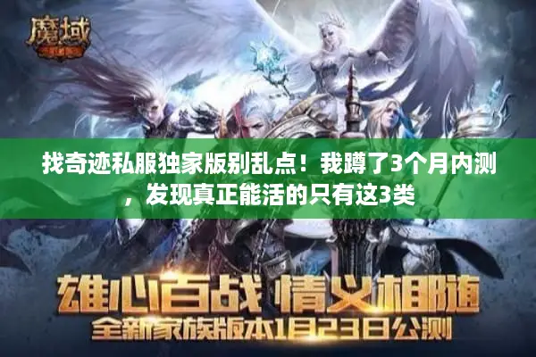 找奇迹私服独家版别乱点！我蹲了3个月内测，发现真正能活的只有这3类