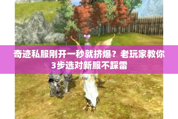 奇迹私服刚开一秒就挤爆？老玩家教你3步选对新服不踩雷