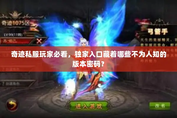 奇迹私服玩家必看，独家入口藏着哪些不为人知的版本密码？