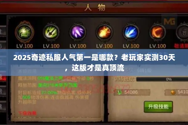 2025奇迹私服人气第一是哪款？老玩家实测30天，这版才是真顶流