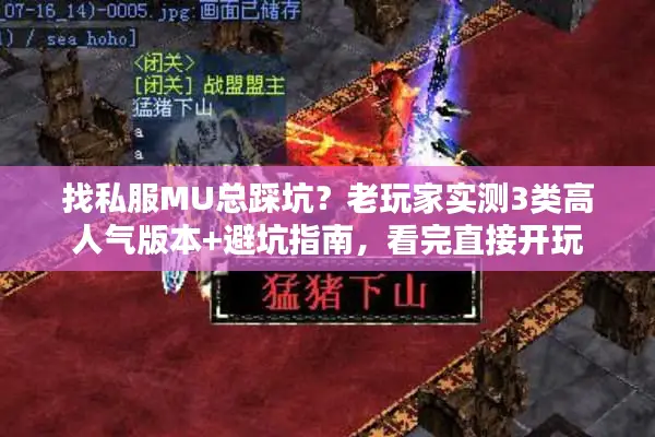 找私服MU总踩坑？老玩家实测3类高人气版本+避坑指南，看完直接开玩