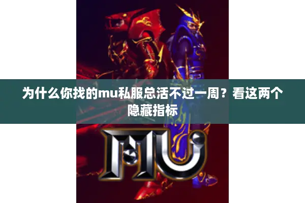 为什么你找的mu私服总活不过一周？看这两个隐藏指标