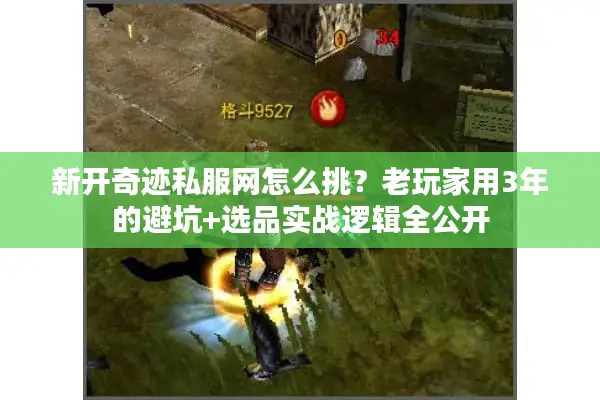 新开奇迹私服网怎么挑？老玩家用3年的避坑+选品实战逻辑全公开