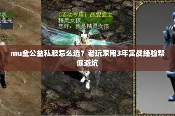 mu全公益私服怎么选？老玩家用3年实战经验帮你避坑