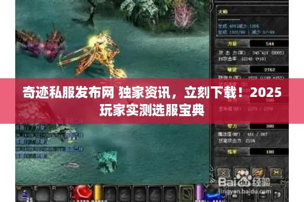 奇迹私服发布网 独家资讯，立刻下载！2025玩家实测选服宝典