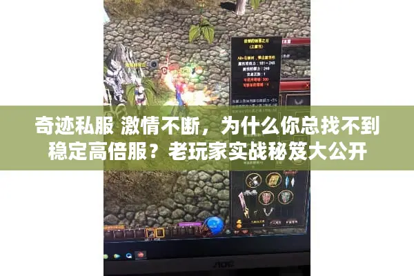 奇迹私服 激情不断，为什么你总找不到稳定高倍服？老玩家实战秘笈大公开