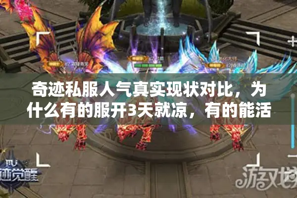奇迹私服人气真实现状对比，为什么有的服开3天就凉，有的能活半年？