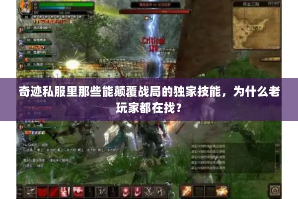 奇迹私服里那些能颠覆战局的独家技能，为什么老玩家都在找？
