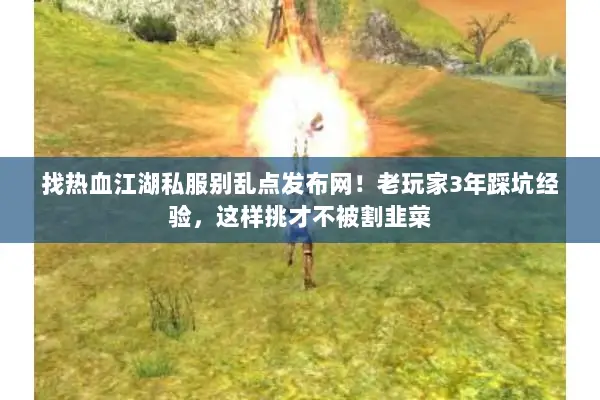 找热血江湖私服别乱点发布网！老玩家3年踩坑经验，这样挑才不被割韭菜