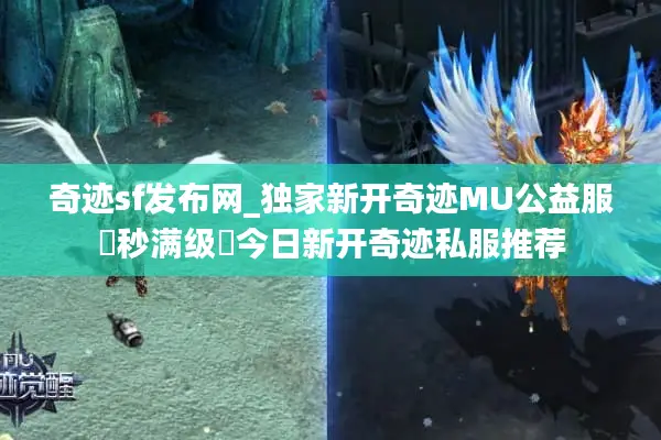 奇迹sf发布网_独家新开奇迹MU公益服▶秒满级◀今日新开奇迹私服推荐
