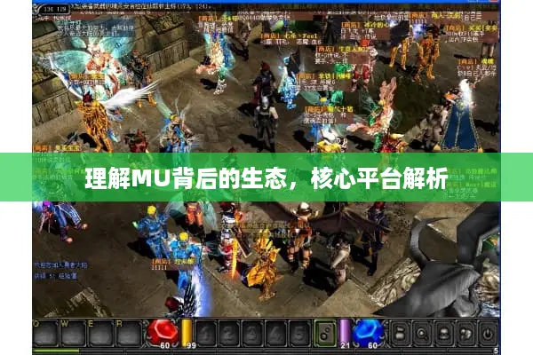 理解MU背后的生态，核心平台解析